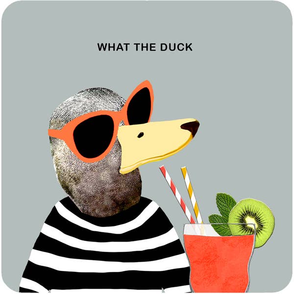 Coaster - What the duck