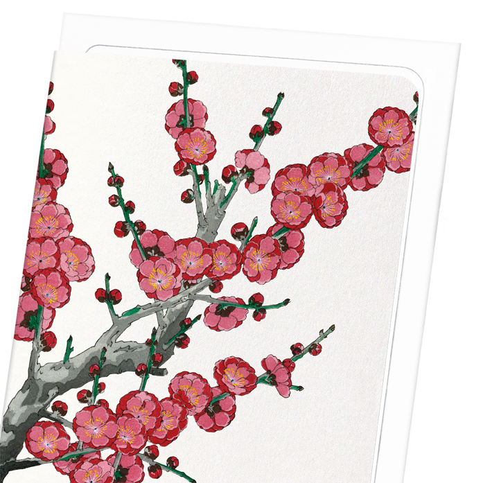 RED PLUM BLOSSOM: Japanese Greeting Card