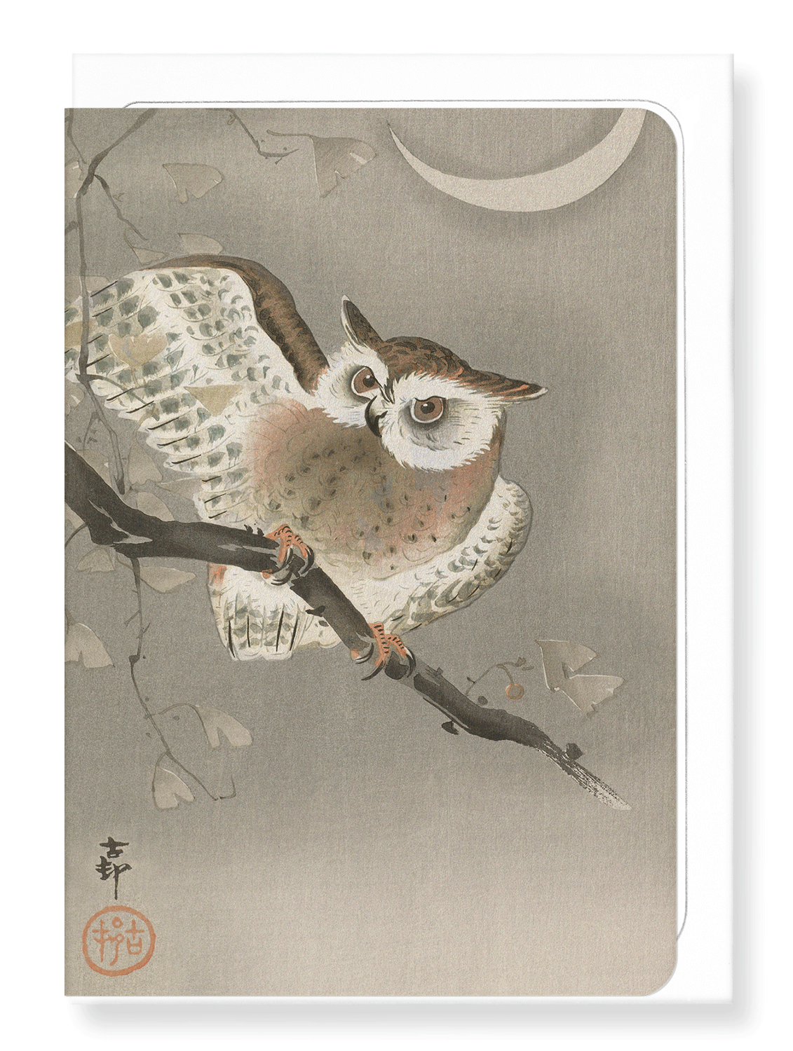 LONG-EARED OWL: Japanese Greeting Card