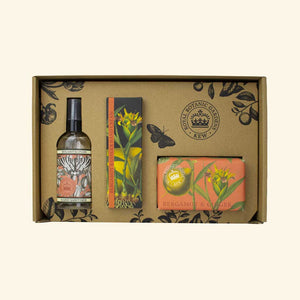 Kew Gardens Bergamot and Ginger Luxury Hand Care Gift Box