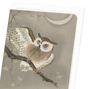 LONG-EARED OWL: Japanese Greeting Card