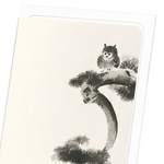 Laden Sie das Bild in den Galerie-Viewer, OWL ON PINE TREE: Japanese Greeting Card
