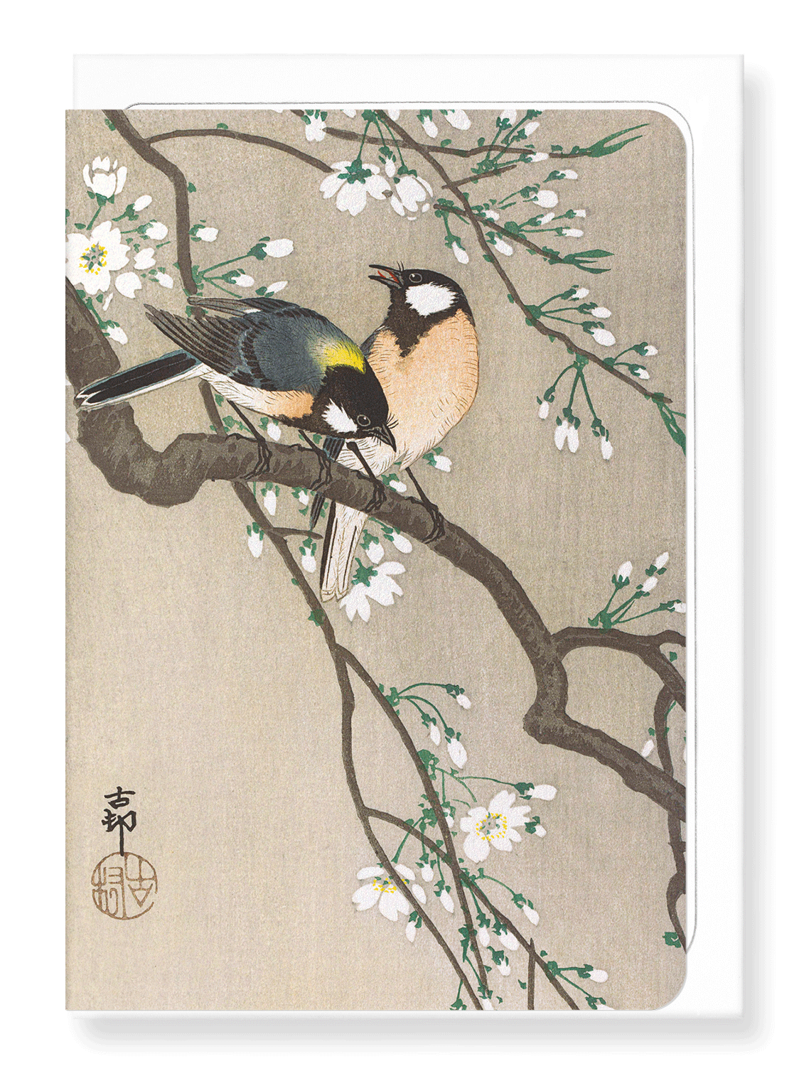 TIT BIRDS ON CHERRY BRANCH: Japanese Greeting Card