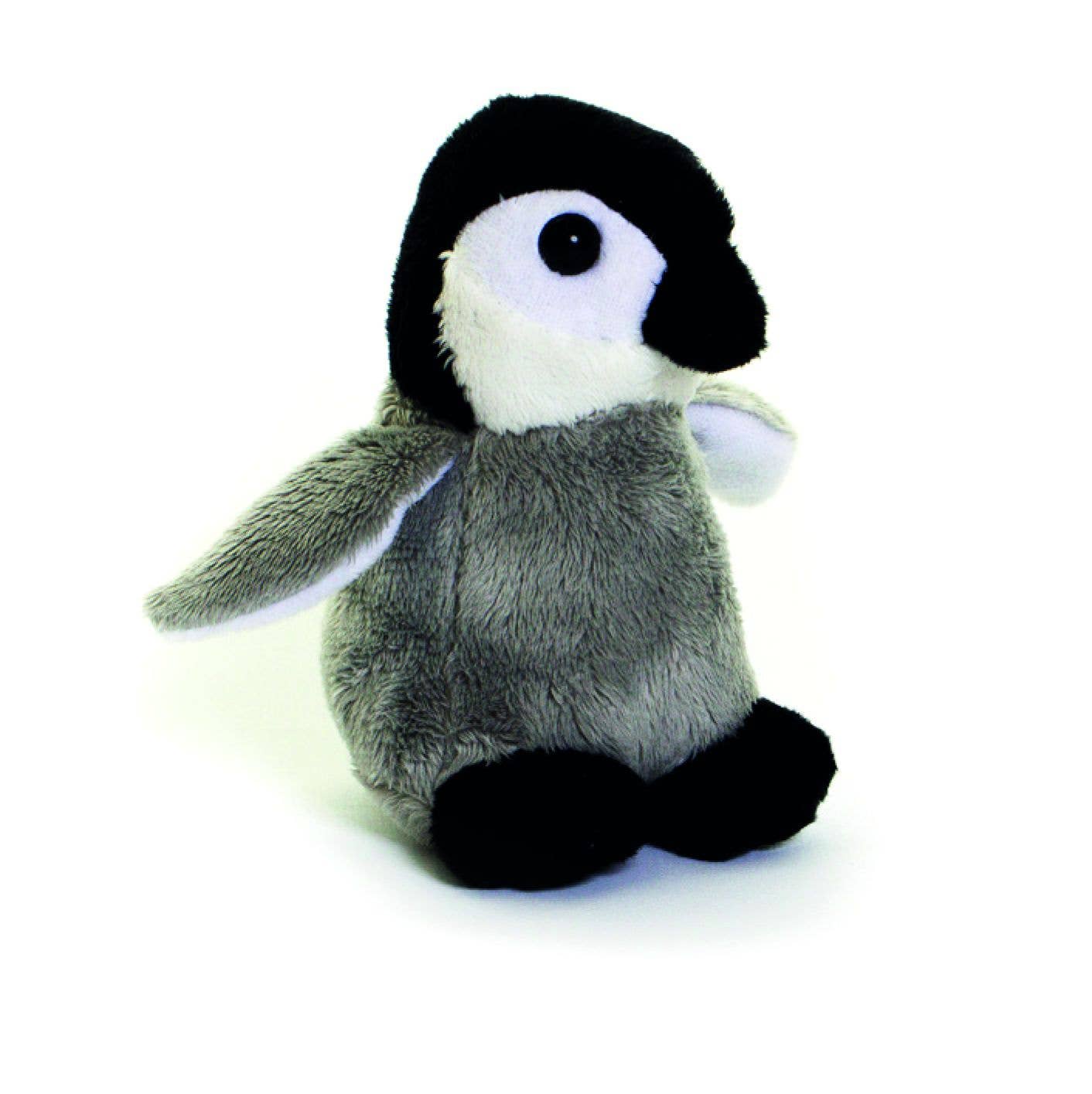 Living Nature - Little Penguin