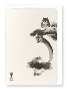 OWL ON PINE TREE: Japanese Greeting Card