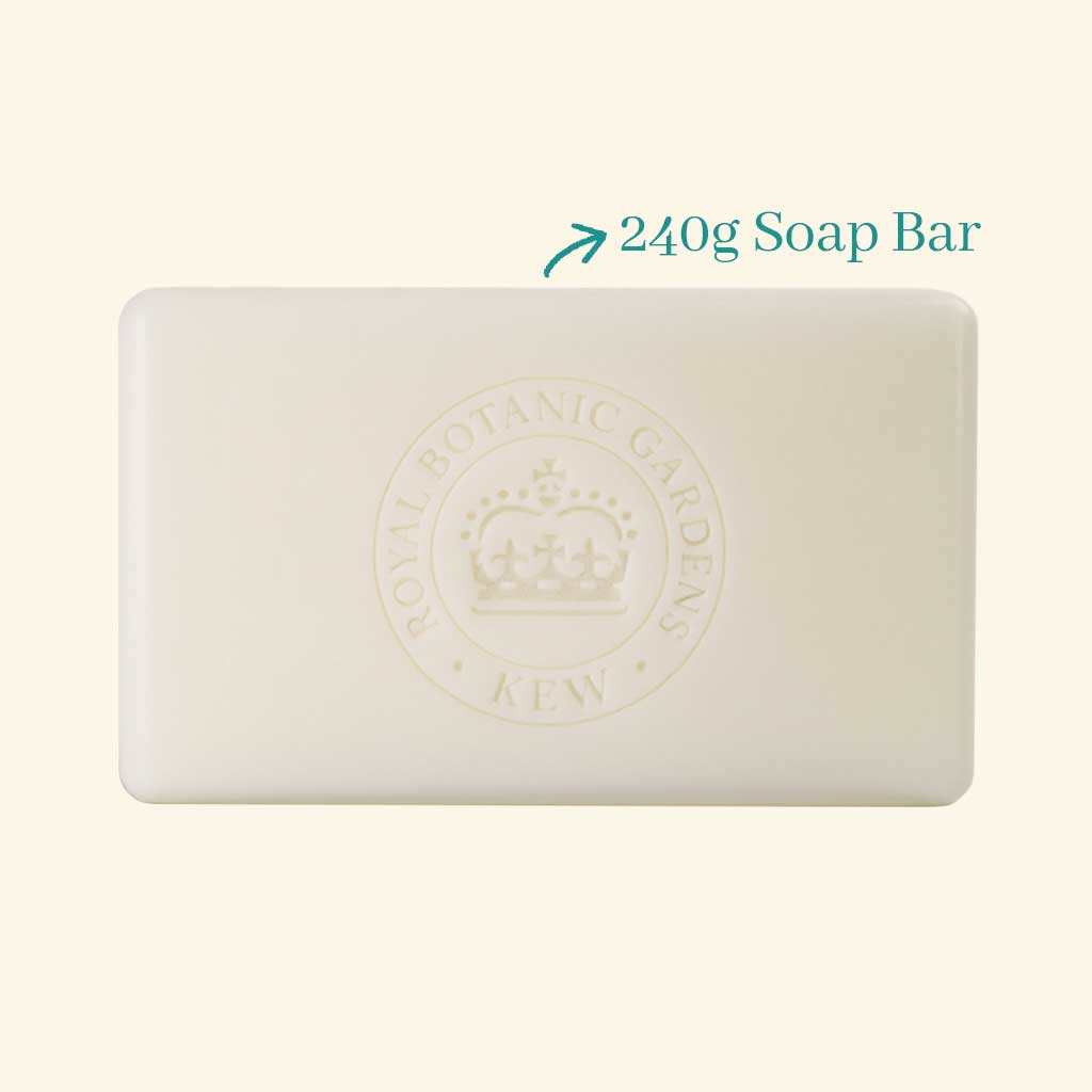 Kew Gardens Grapefruit and Lily Soap